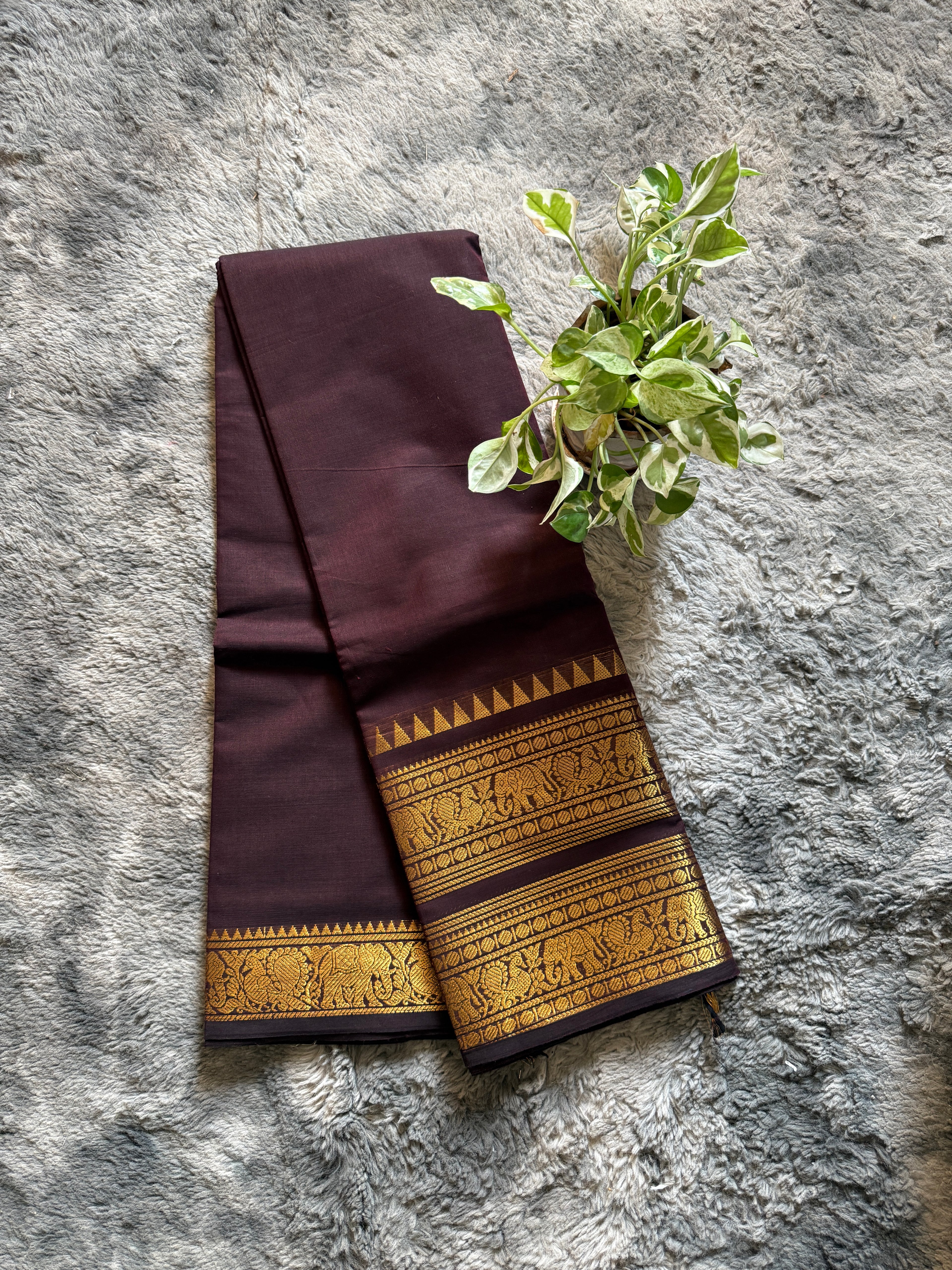 Kanchi cotton coffee brown